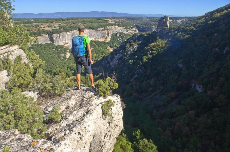Gite Hanna En Luberon - Le Boisset De St Martin De Castillon Saint-Martin-de-Castillon ภายนอก รูปภาพ